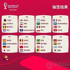 世界杯梦碎 阿根廷后卫巴莱尔迪因伤退赛